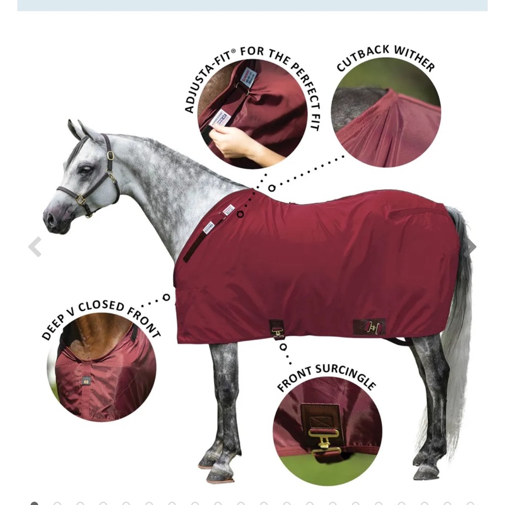 Schneider Navy Horse Blanket with Adjustable Straps